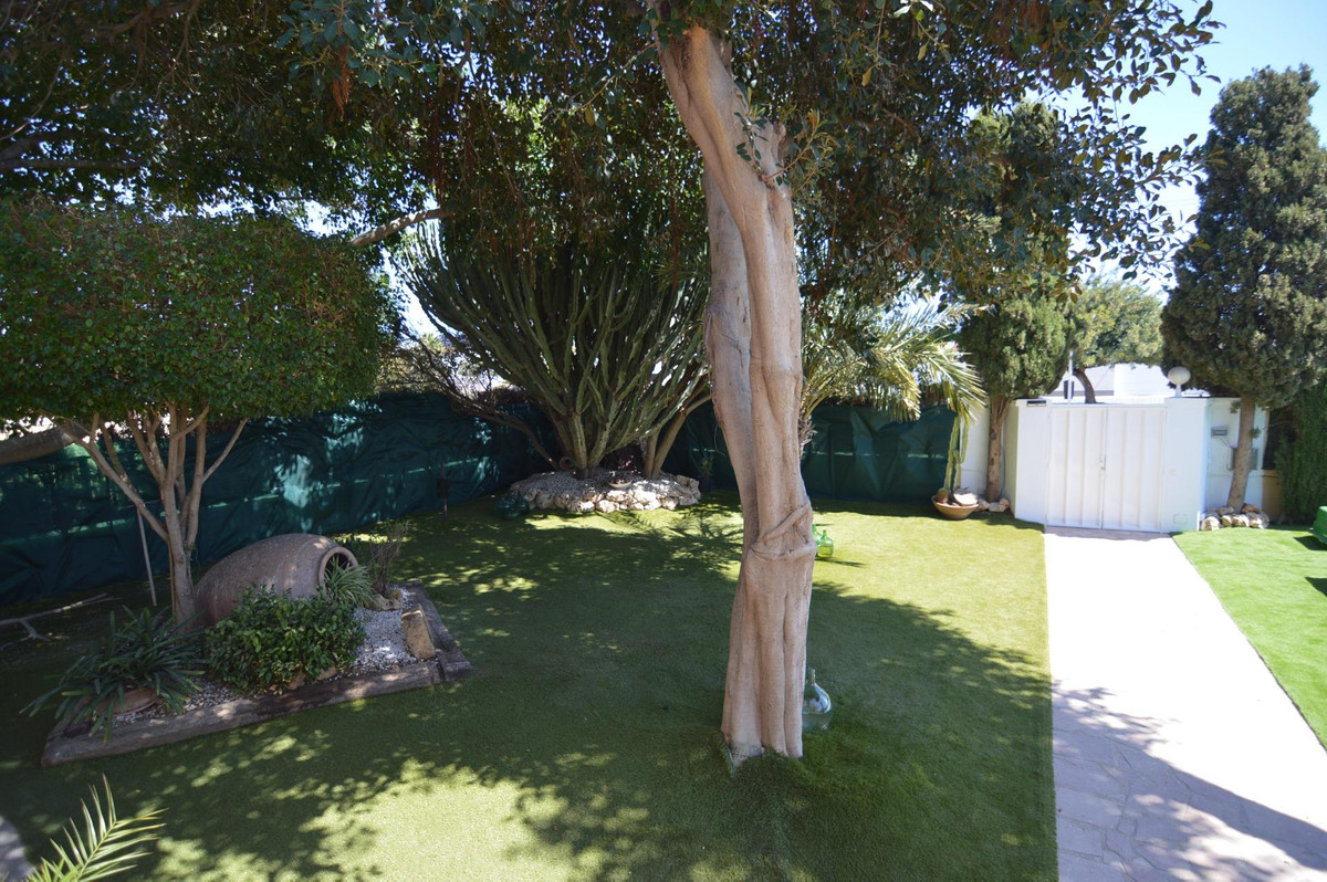 Bungalow z 4 Sypialniami w, Torrevieja | Sunny Casas - Ni... - Image 10