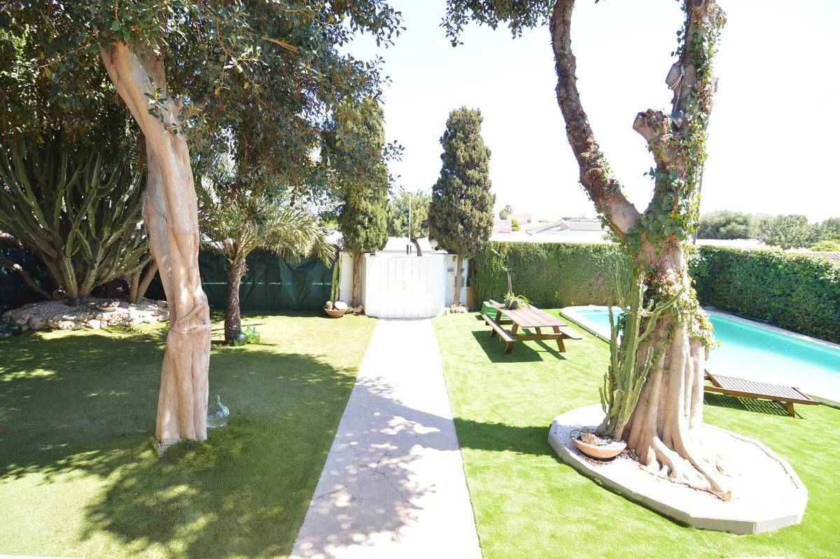 Bungalow z 4 Sypialniami w, Torrevieja | Sunny Casas - Ni... - Image 8