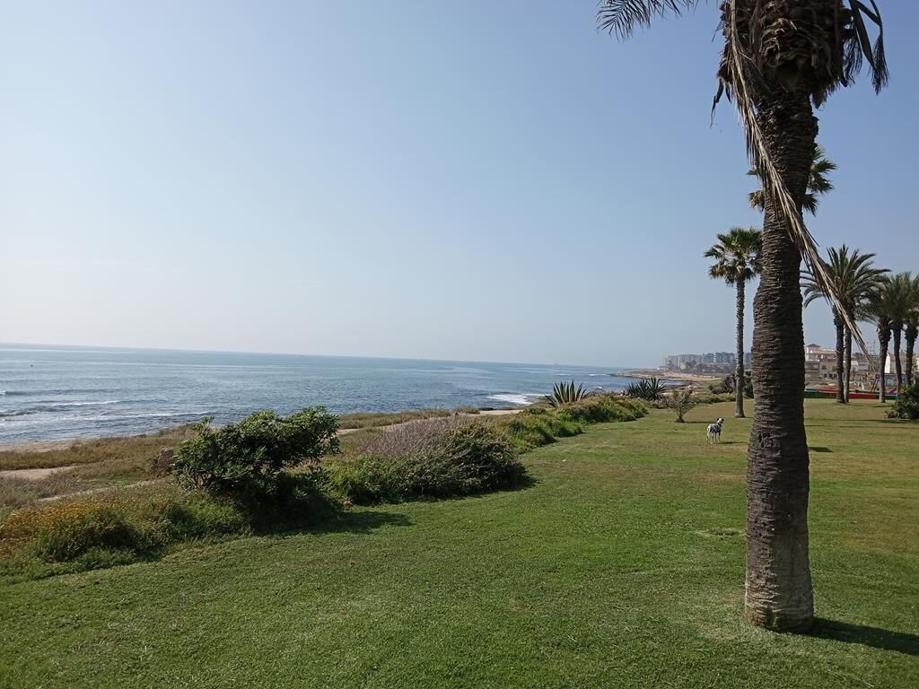 2-Bedroom Apartment in Centro, Torrevieja - Image 2