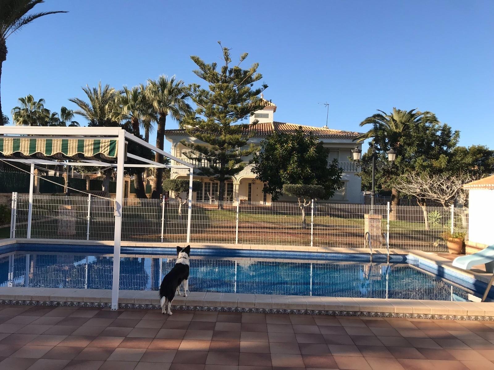 7-Bedroom Villa in Costa Blanca, Cabo Roig - Image 3