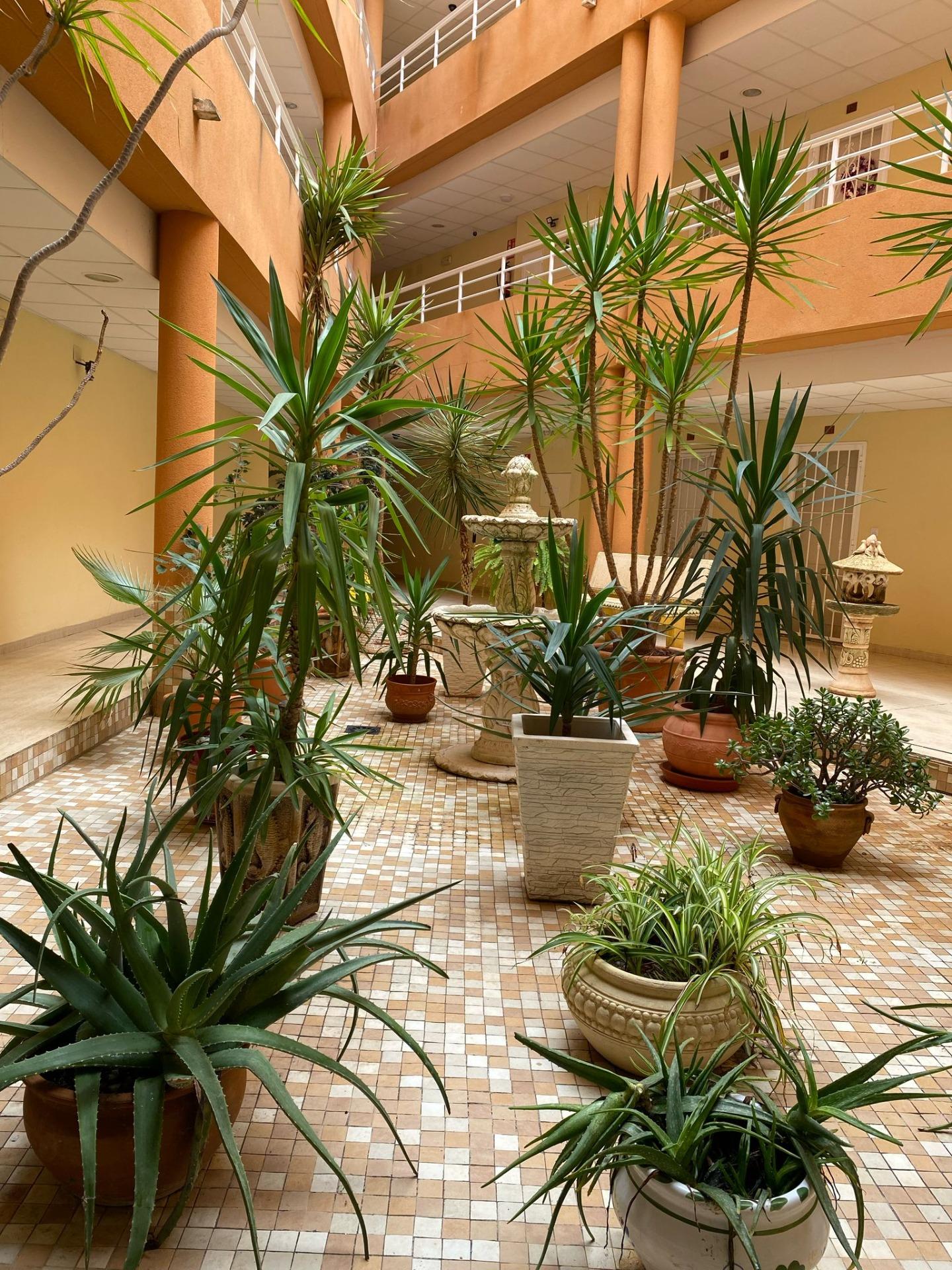 2-Bedroom Apartment in Pueblo 9, San Miguel de Salinas - Image 12