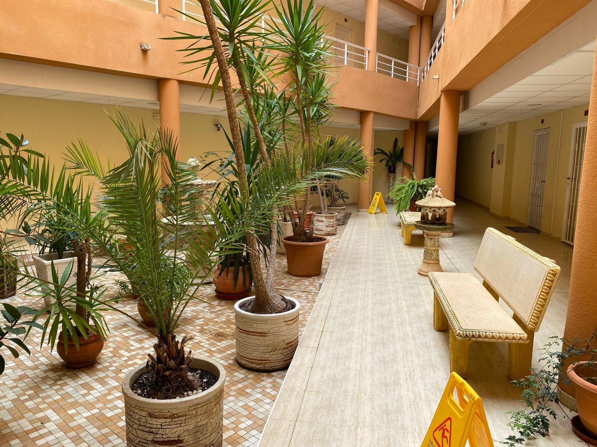 2-Bedroom Apartment in Pueblo 9, San Miguel de Salinas - Image 13