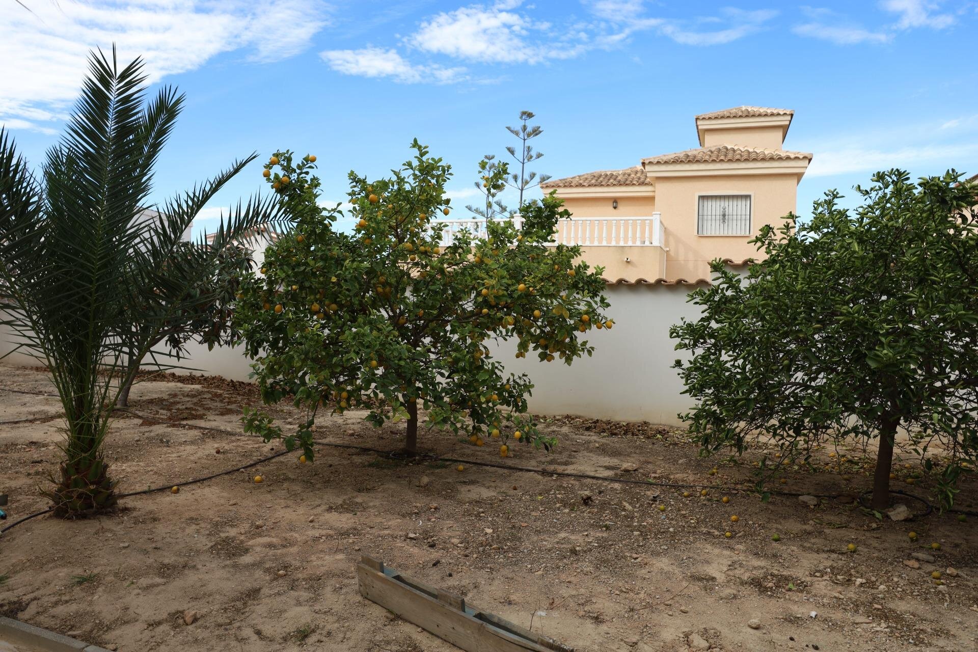 5-Zimmer Villa in Rojales - Image 23