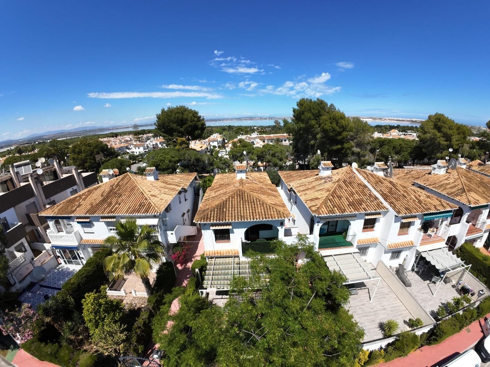 1-Bedroom Bungalow in Los Balcones, Torrevieja - Image 13