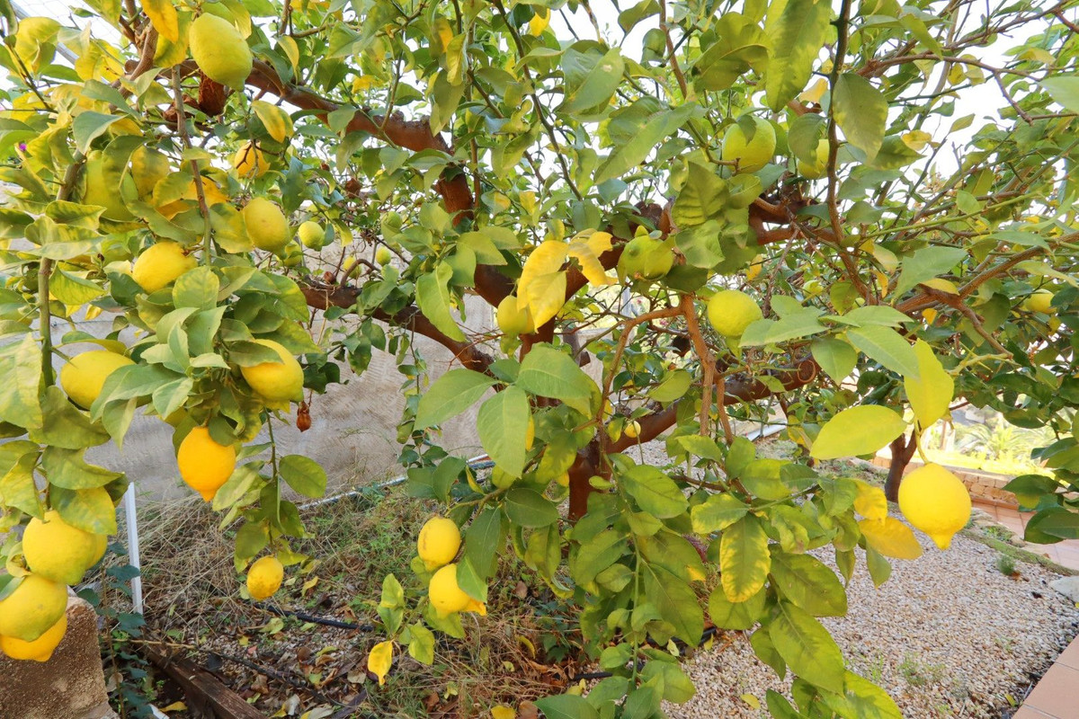 5-Bedroom Detached House in  Altea | Sunny Casas - Costa ... - Image 19