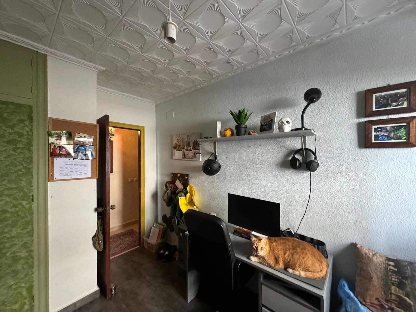 3-Bedroom Apartment in Centro, San Miguel de Salinas - Image 37