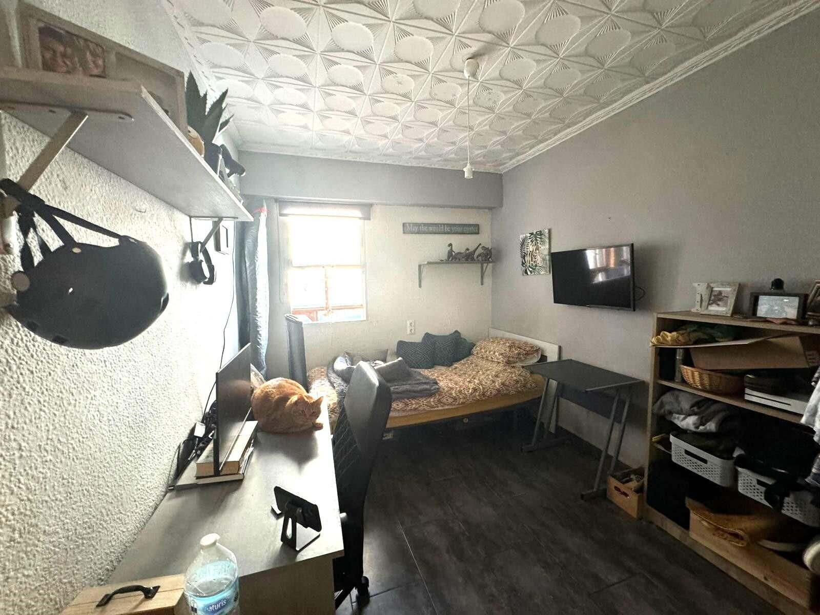 3-Bedroom Apartment in Centro, San Miguel de Salinas - Image 41