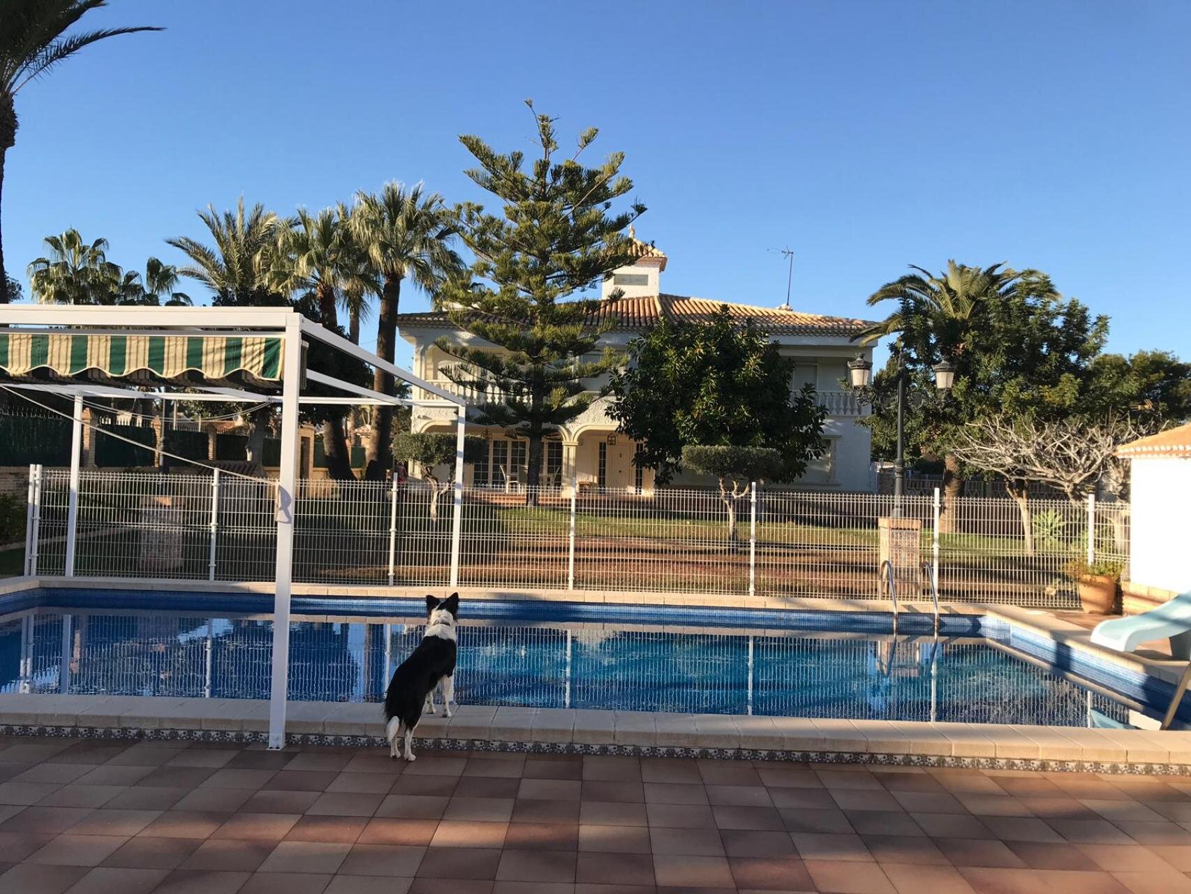 6-Bedroom Villa in Cabo Roig - Image 2