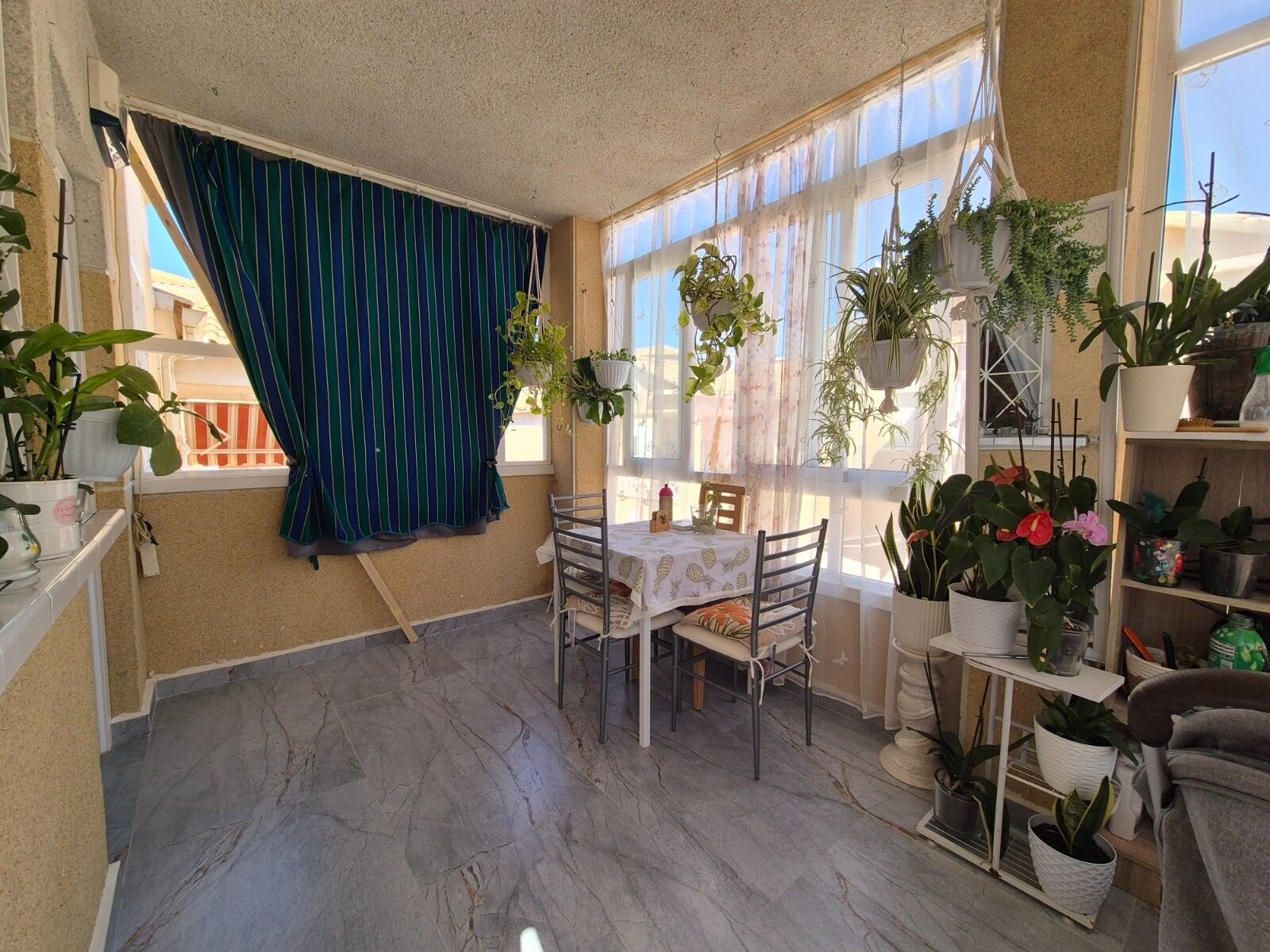 Bungalow de 2 Chambres à Centro, Torrevieja - Image 4