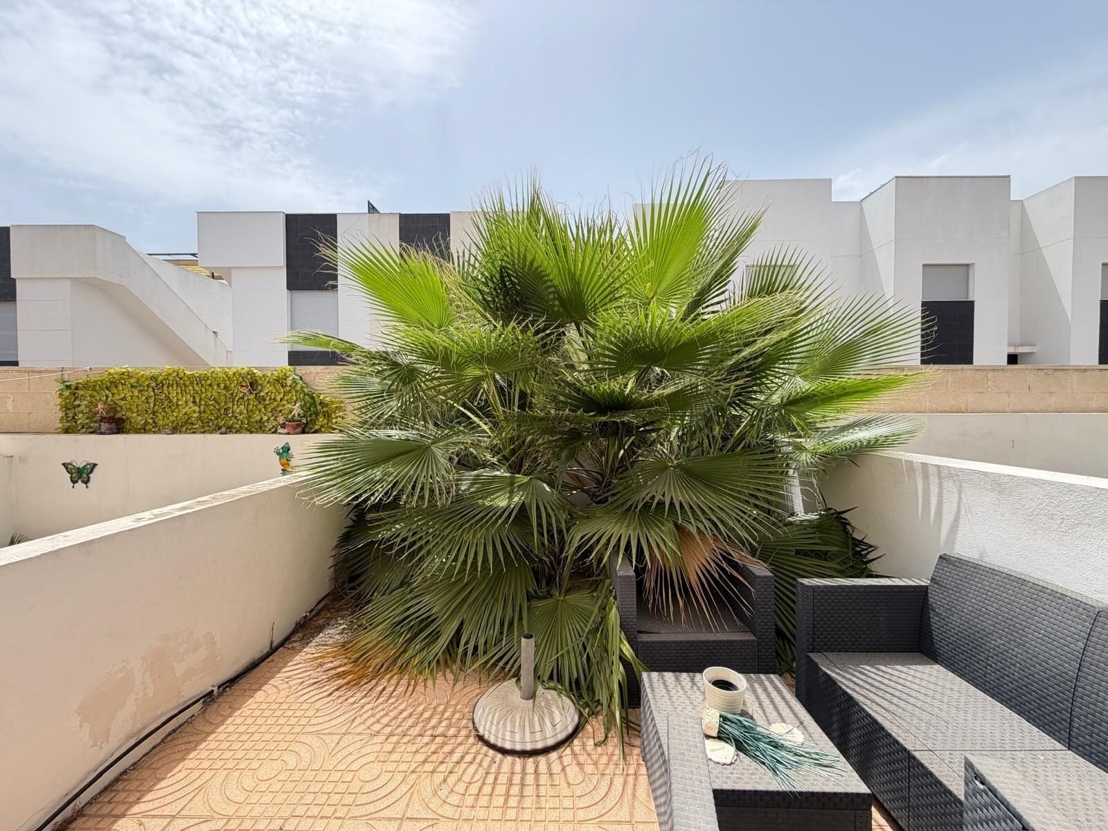 2-Bedroom House in Rojales - Image 25