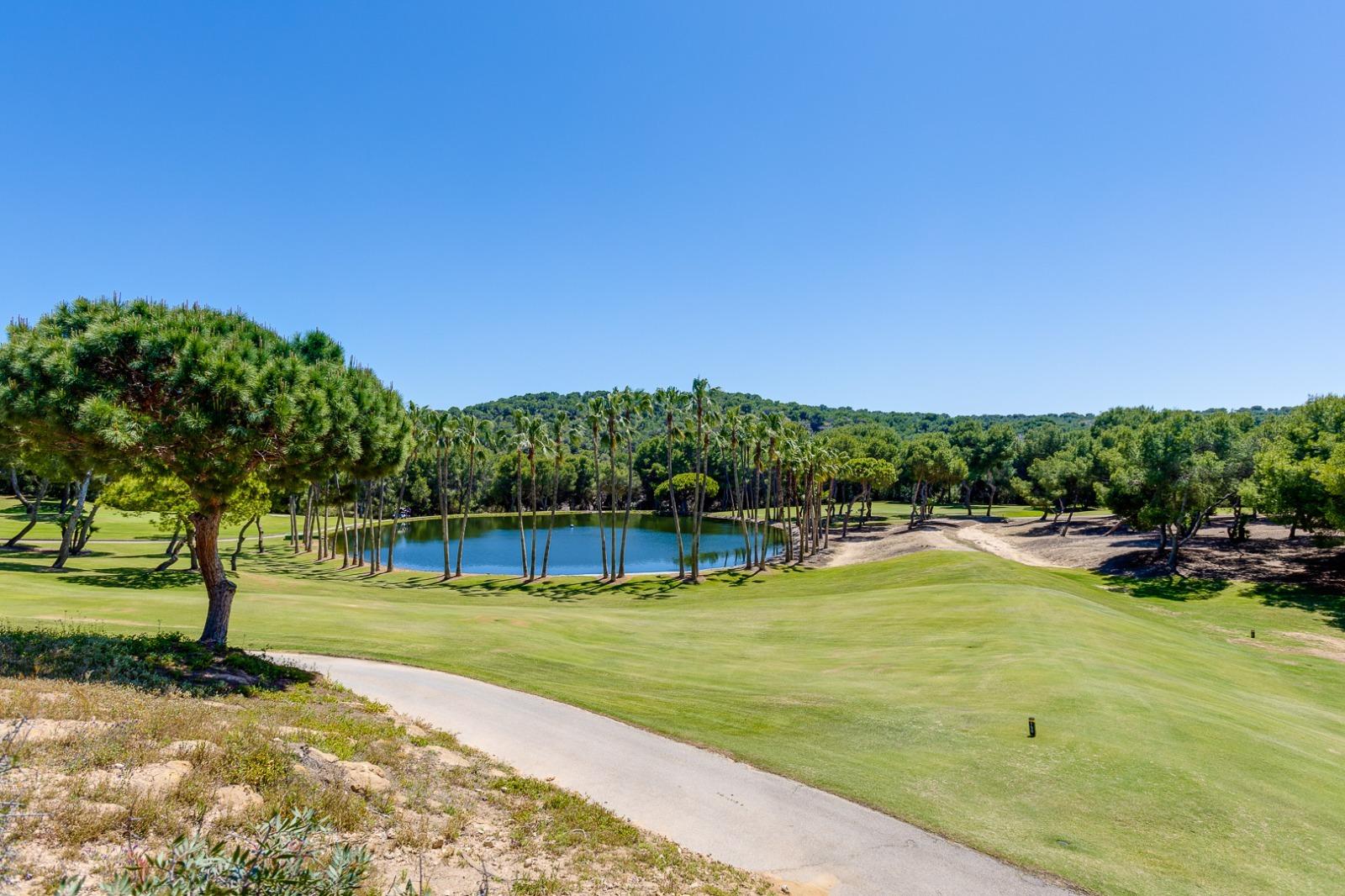 4-Bedroom House in Las Filipinas, Orihuela Costa - Image 64