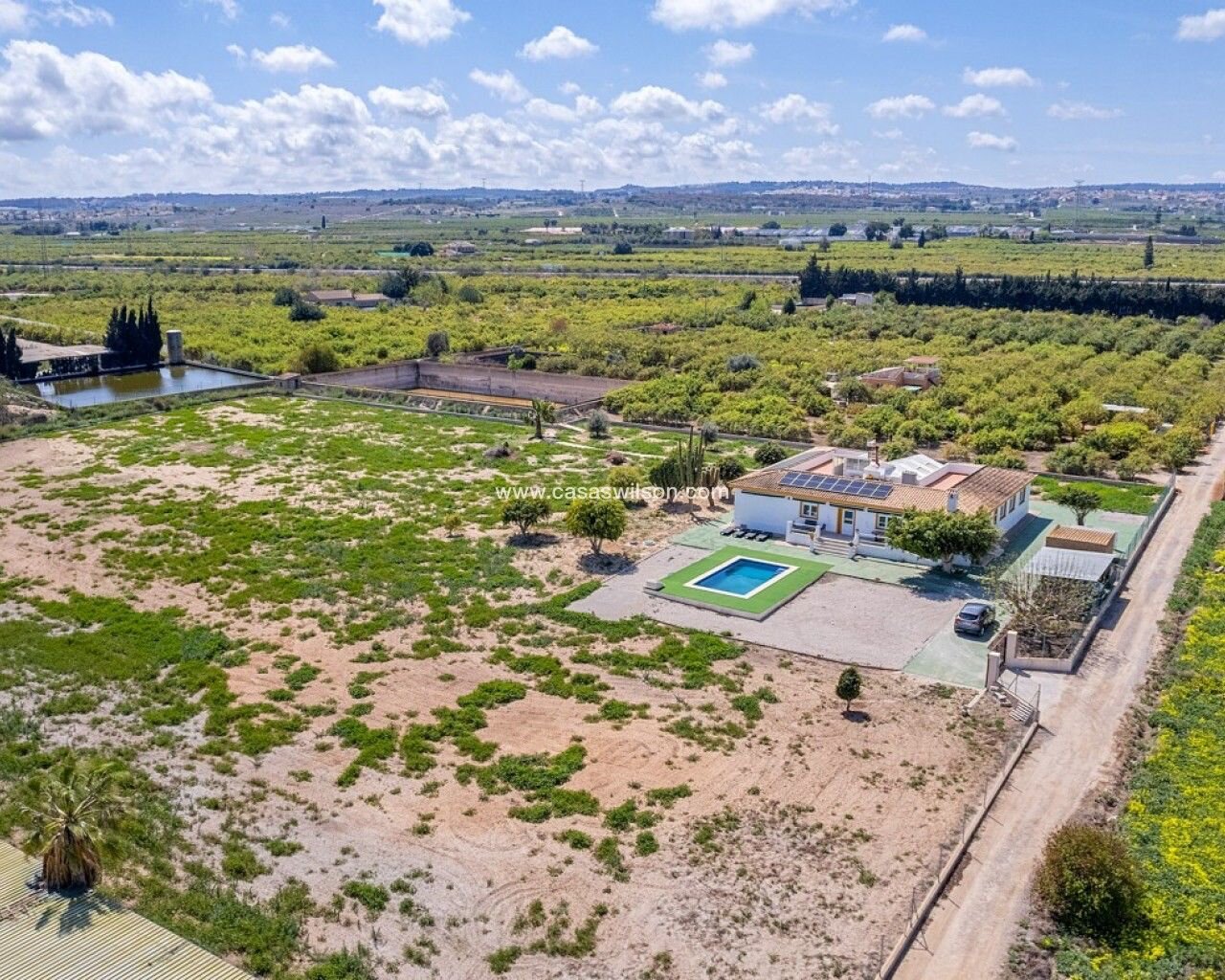 6-Bedroom Villa in Centro, San Miguel de Salinas - Image 2