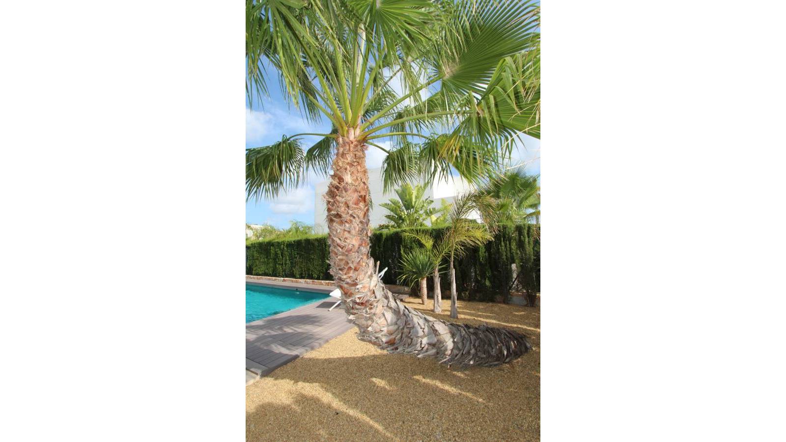 3-Bedroom Villa in Centro de la Ciudad Quesada, Rojales - Image 8