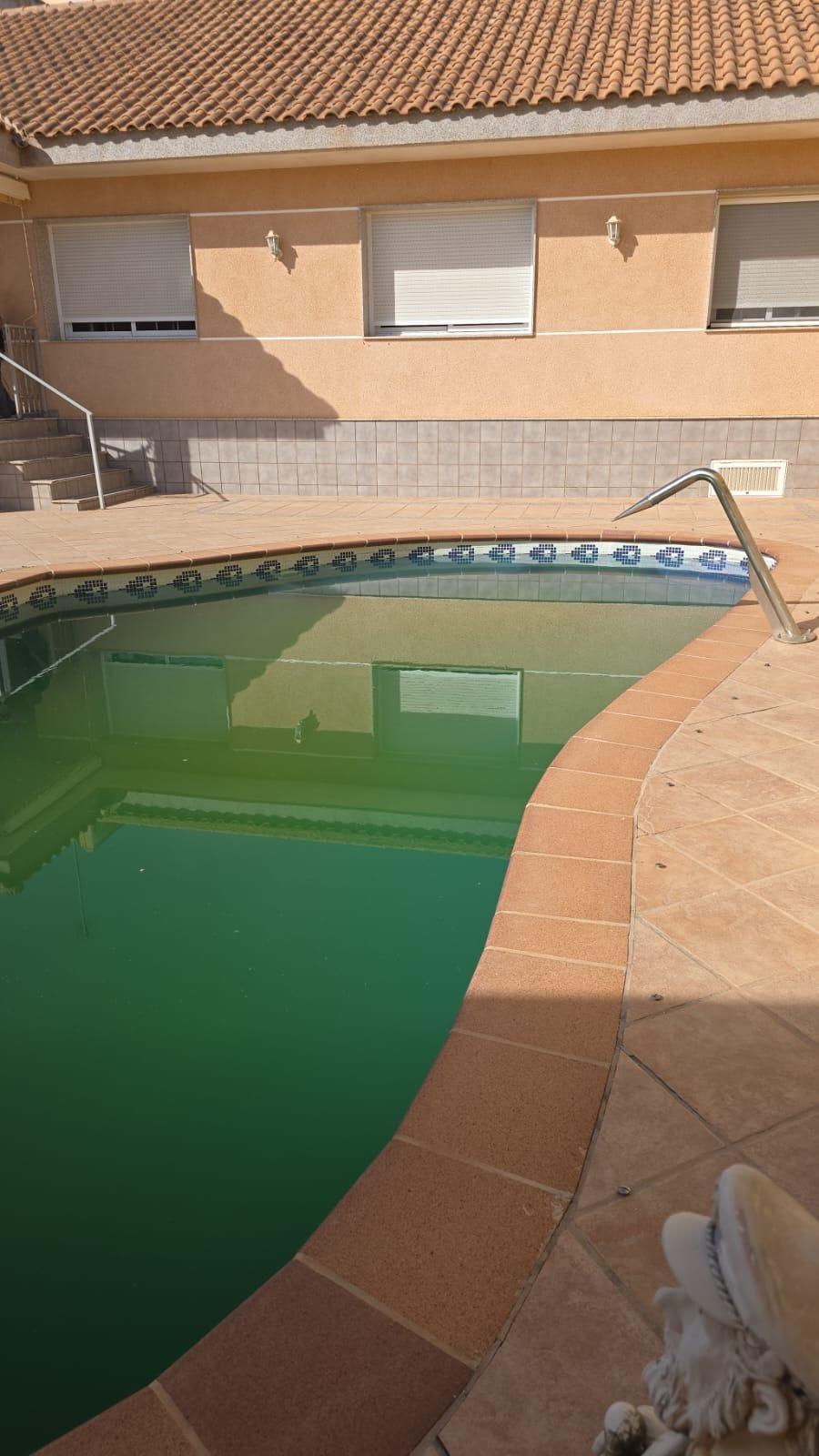 4-Bedroom Villa in Pilar de la Horadada - Image 7