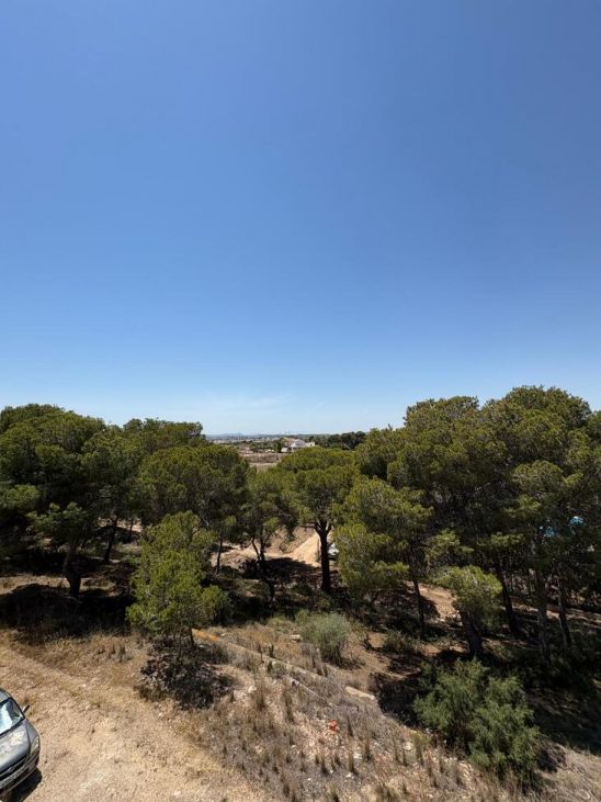 2-Bedroom Apartment in Cuidad Quesada, Rojales - Image 17