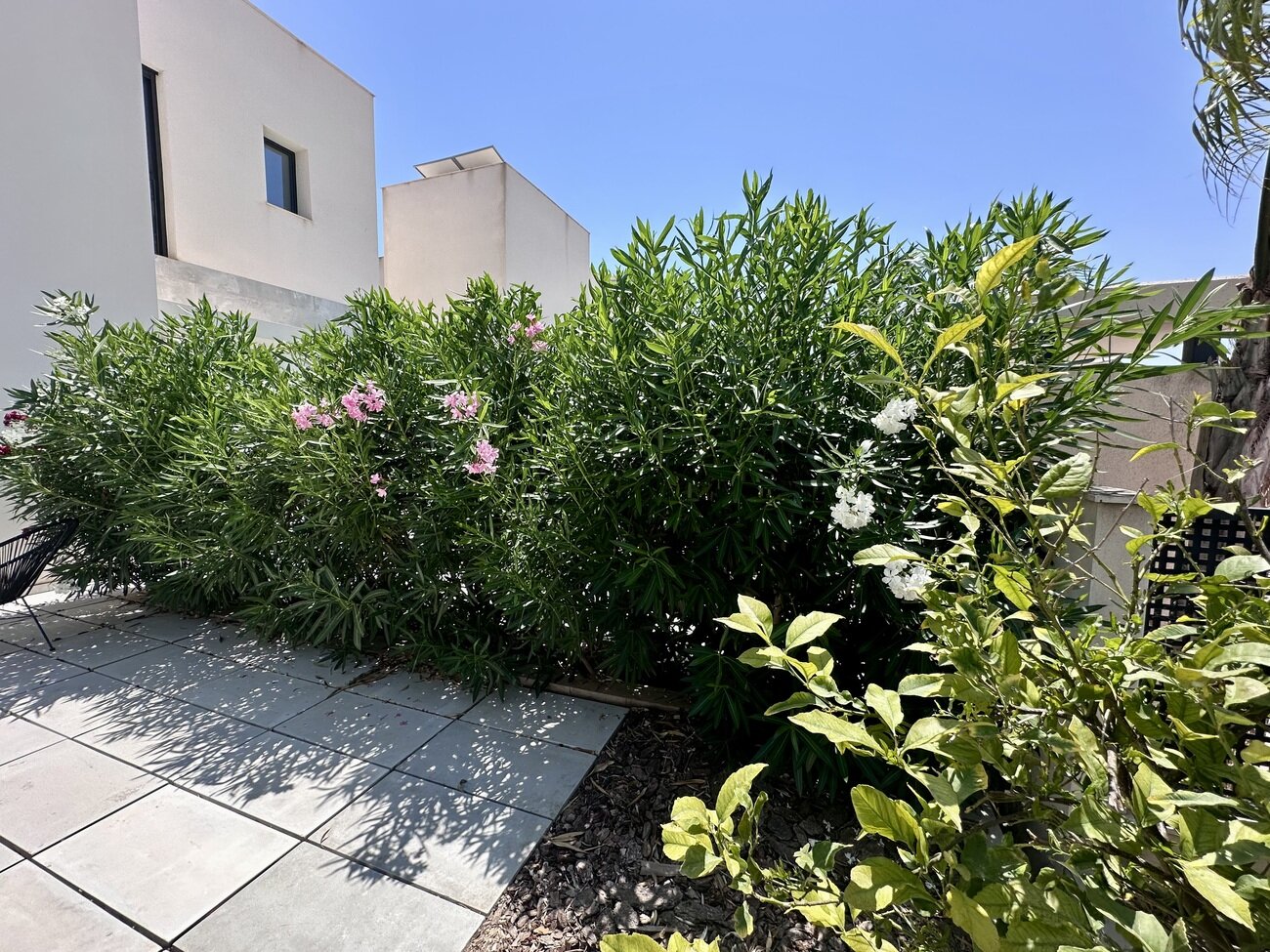 4-Bedroom Villa in Ciudad Quesada, Rojales - Image 26