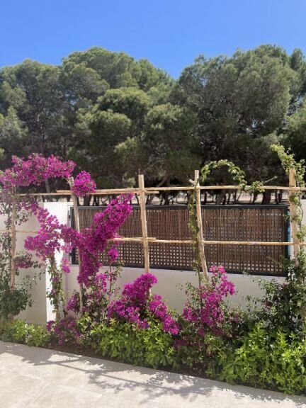 3-Bedroom Apartment in San Javier, San Javier - Image 17