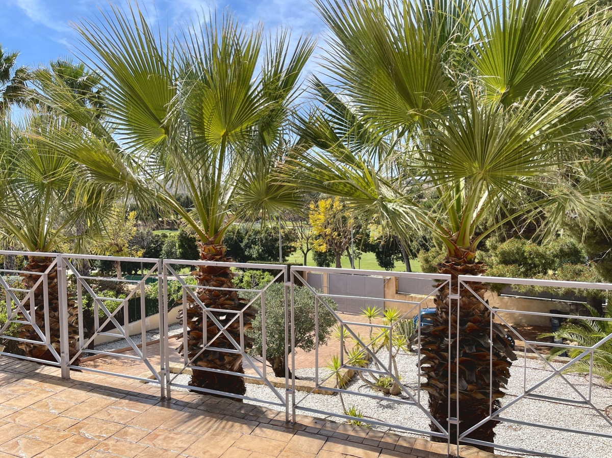 6-Bedroom Detached House in  Monforte Del Cid - Image 6