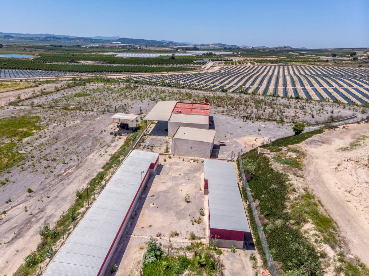 2-Bedroom House in  Los Montesinos | Sunny Casas - Costa ... - Image 17