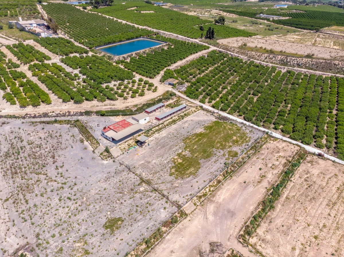 2-Bedroom House in  Los Montesinos | Sunny Casas - Costa ... - Image 19