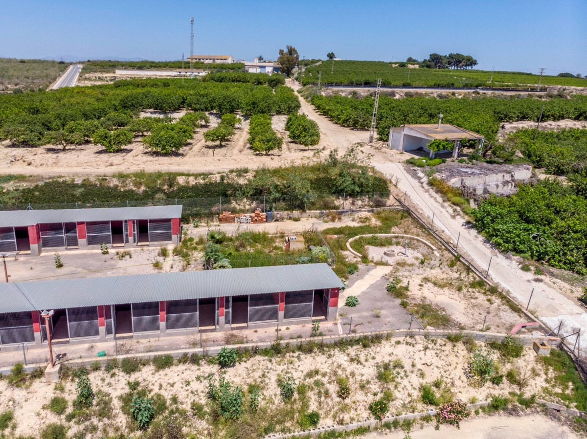 2-Bedroom House in  Los Montesinos | Sunny Casas - Costa ... - Image 22