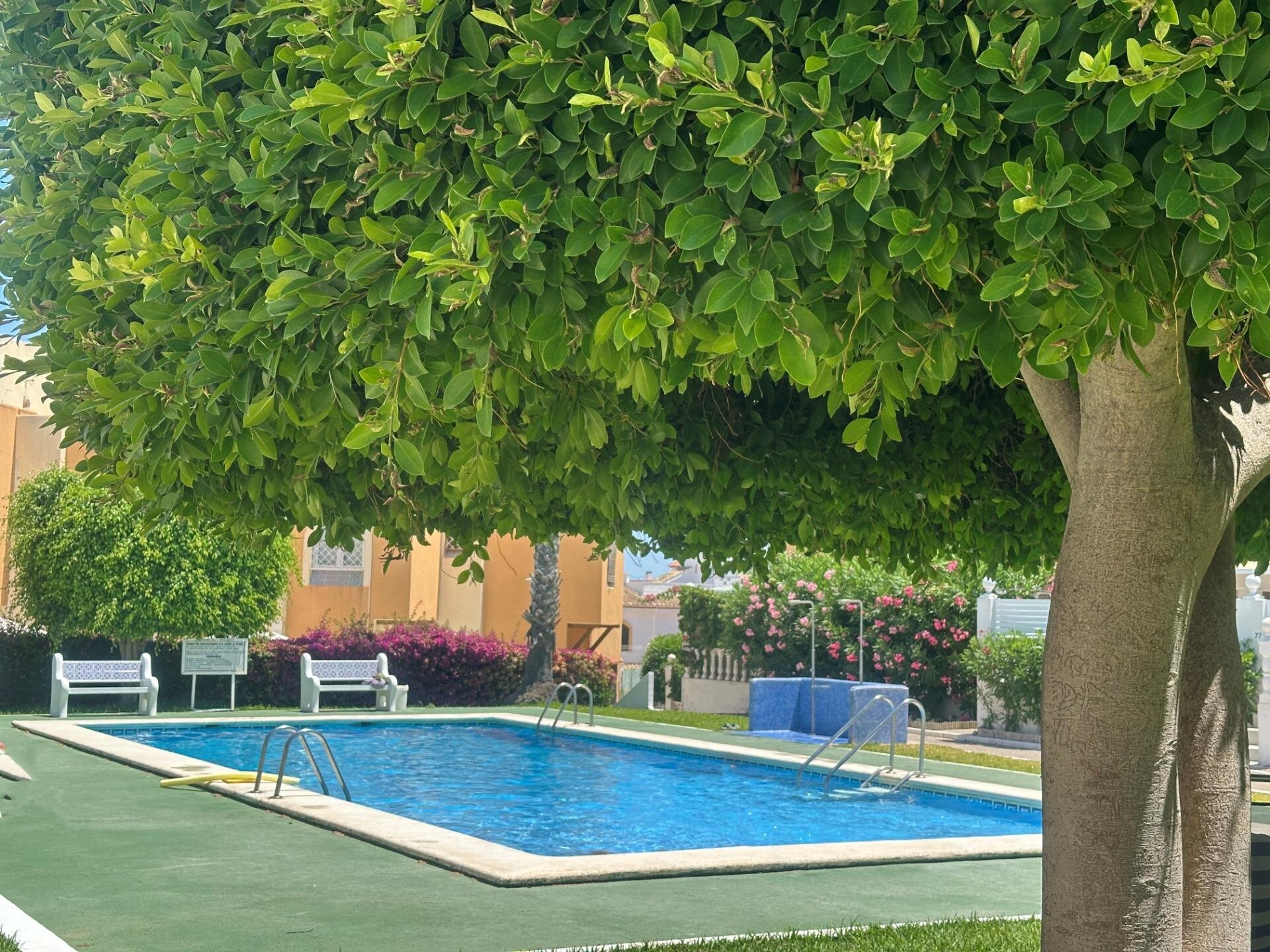 Bungalow de 1 Chambres à Torreblanca, Torrevieja - Image 13