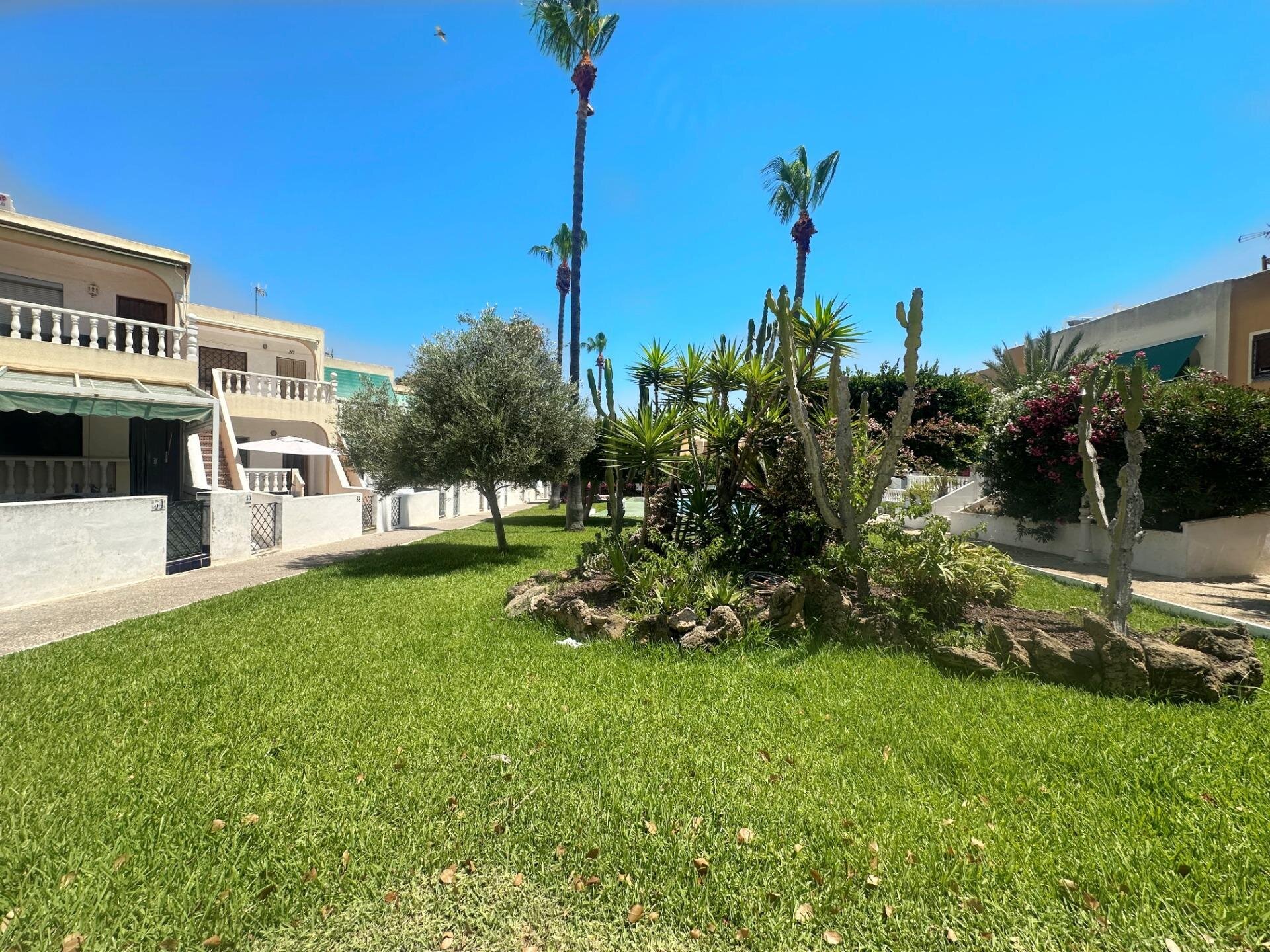 Bungalow de 1 Chambres à Torreblanca, Torrevieja - Image 16