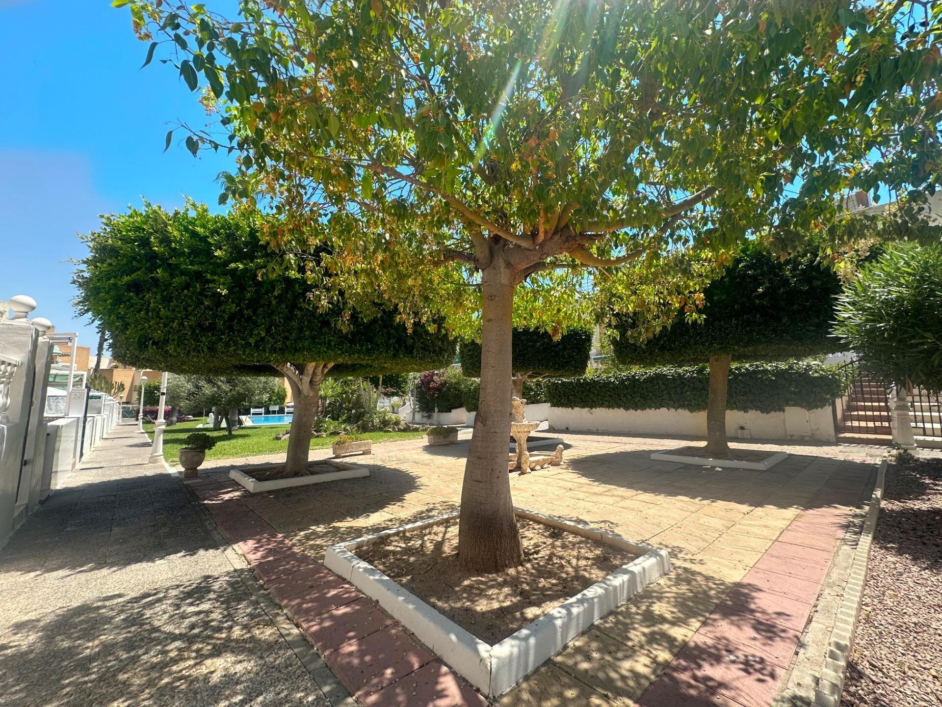 Bungalow de 1 Chambres à Torreblanca, Torrevieja - Image 17