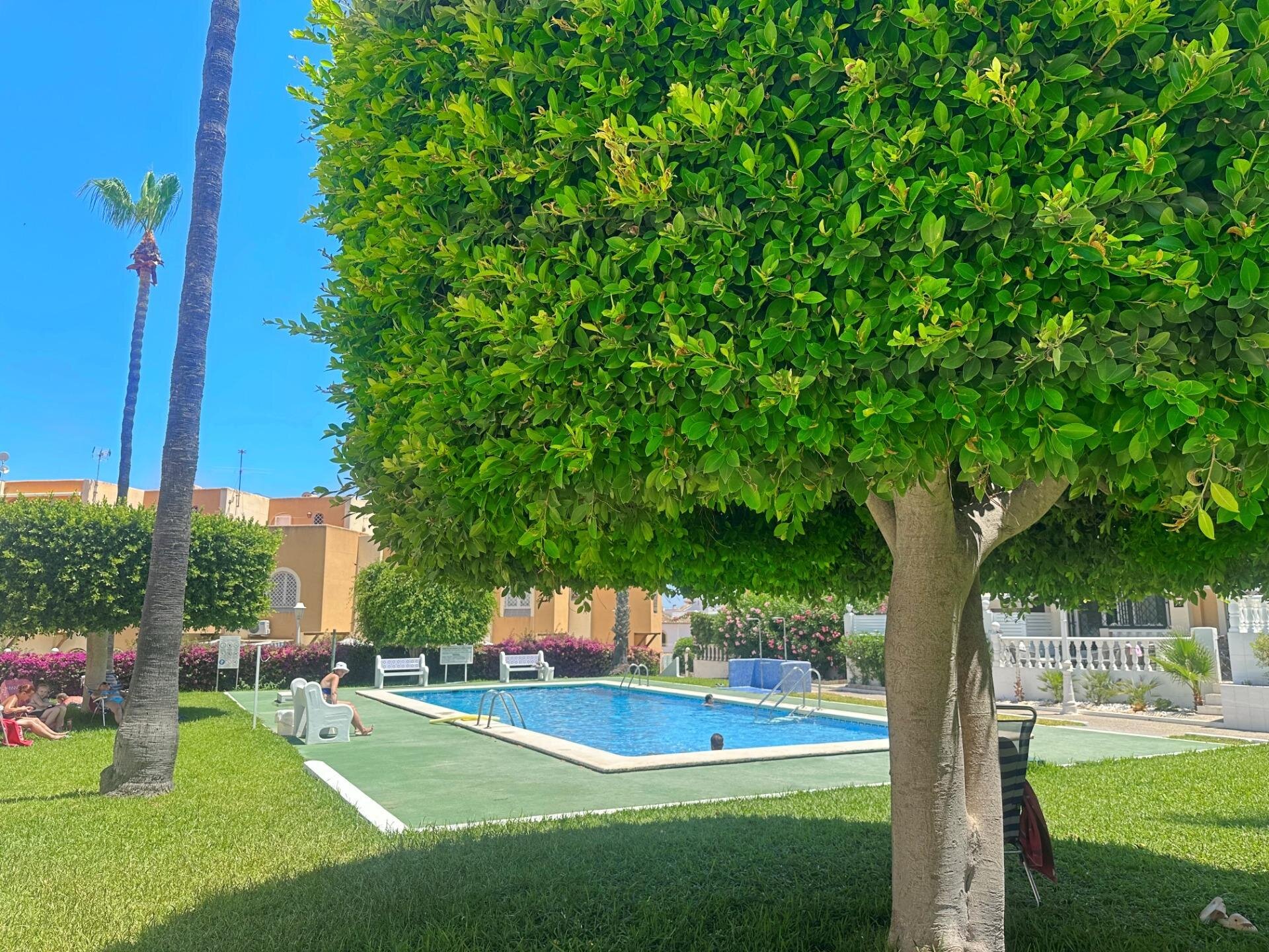 Bungalow de 1 Chambres à Torreblanca, Torrevieja - Image 21