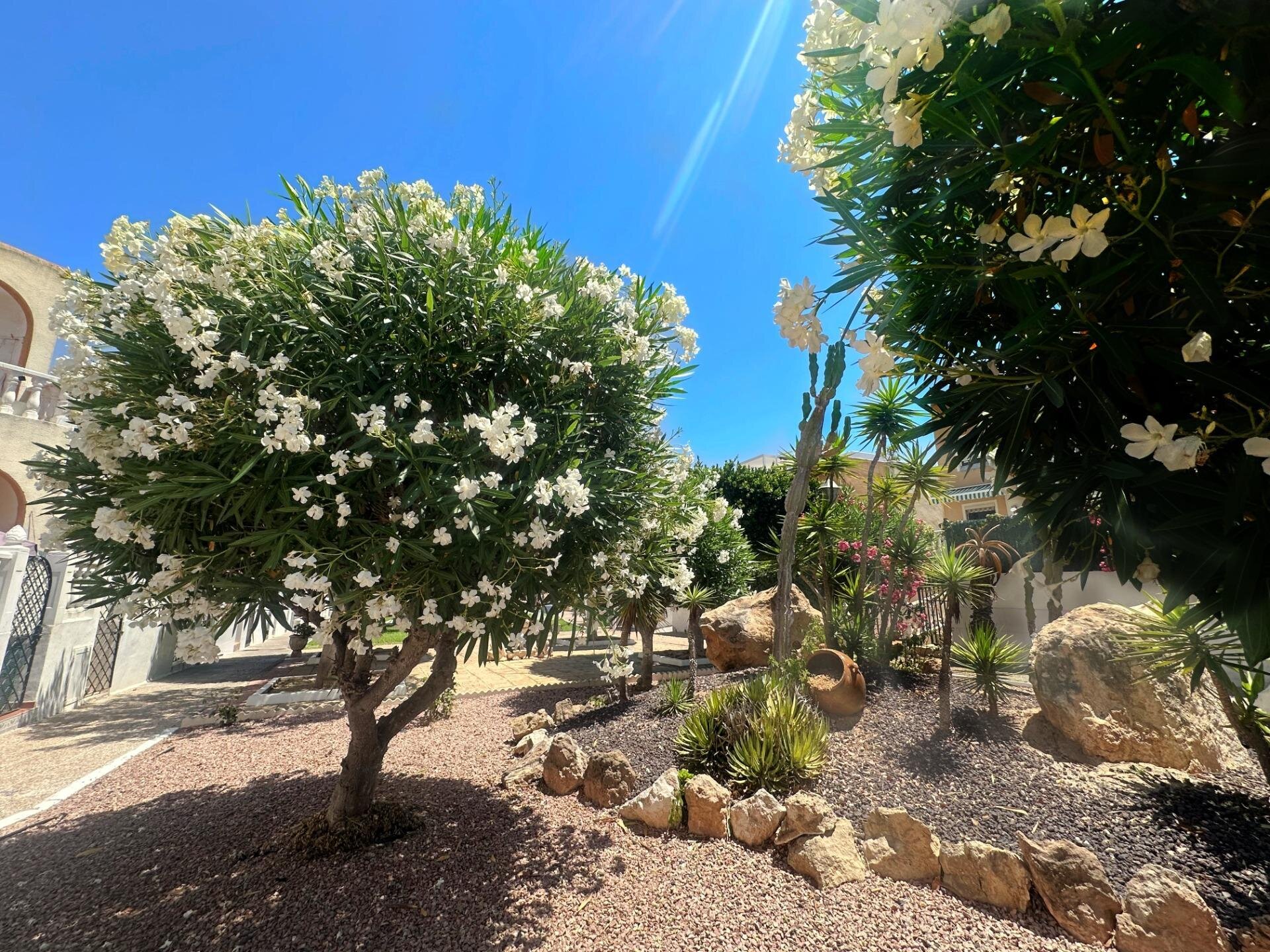 Bungalow de 1 Chambres à Torreblanca, Torrevieja - Image 22