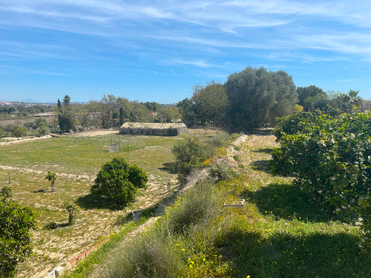 3-Bedroom Detached House in Guardamar del Segura | Sunny... - Image 12