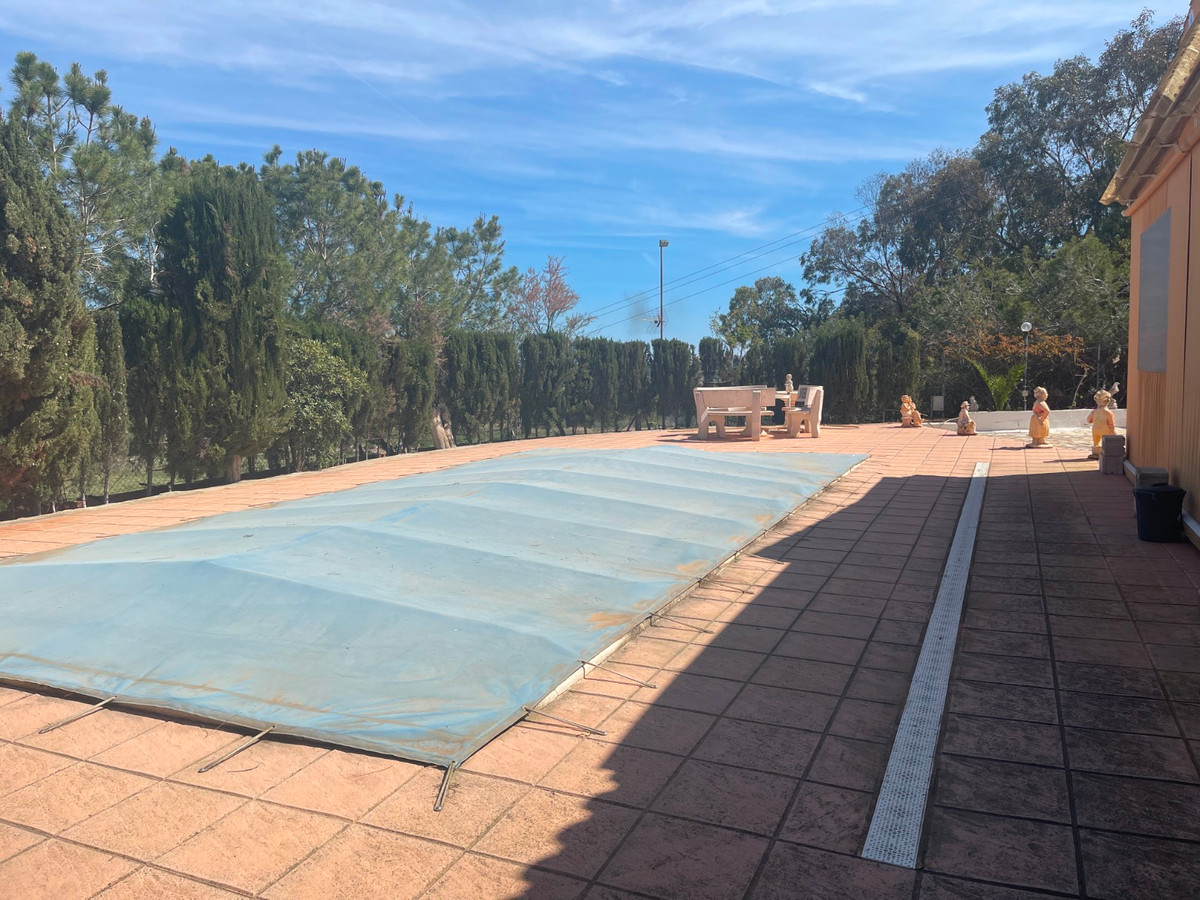 3-Bedroom Detached House in Guardamar del Segura | Sunny... - Image 20