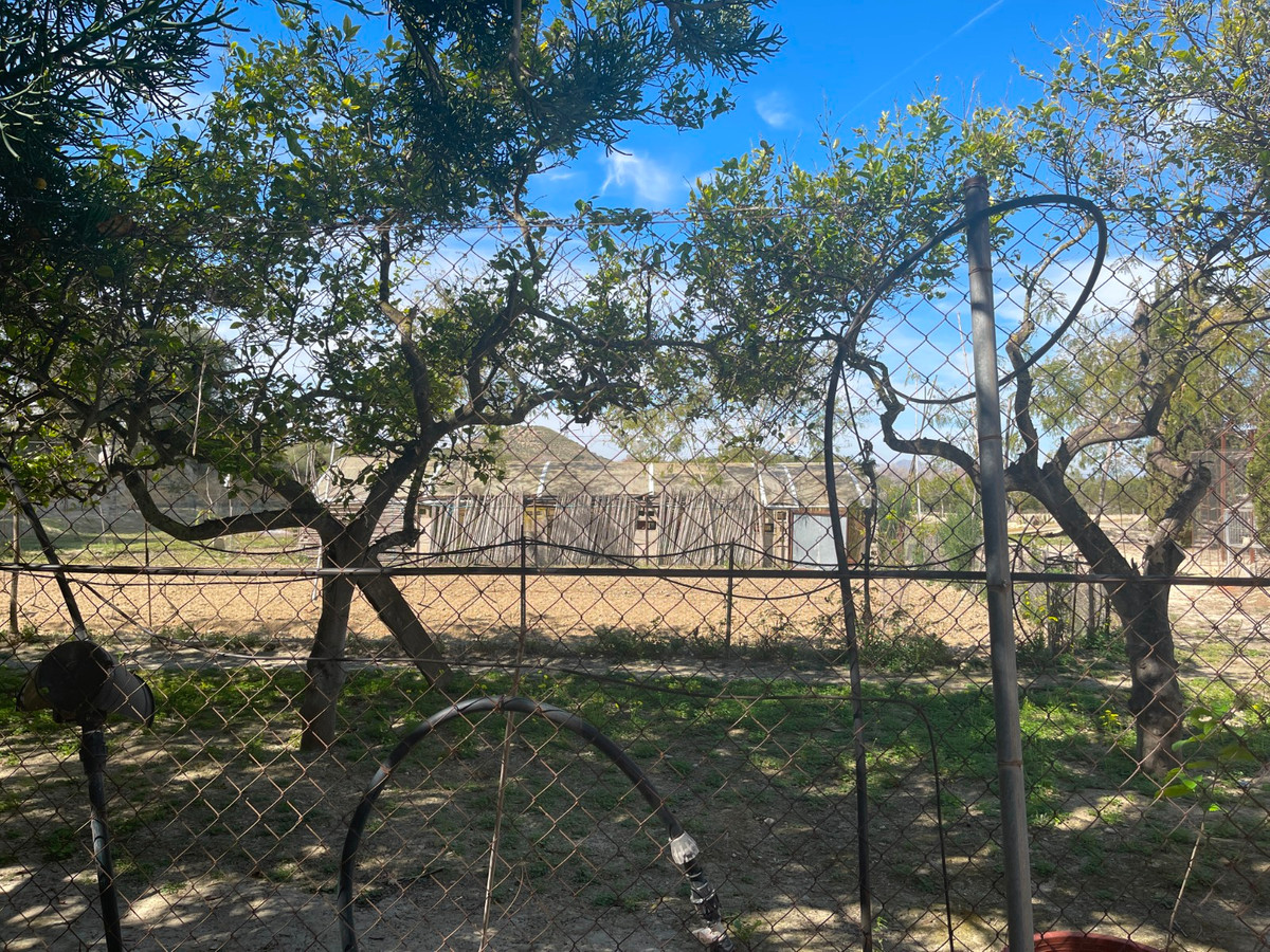 3-Bedroom Detached House in Guardamar del Segura | Sunny... - Image 22