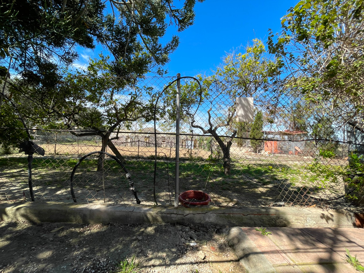 3-Bedroom Detached House in Guardamar del Segura | Sunny... - Image 23