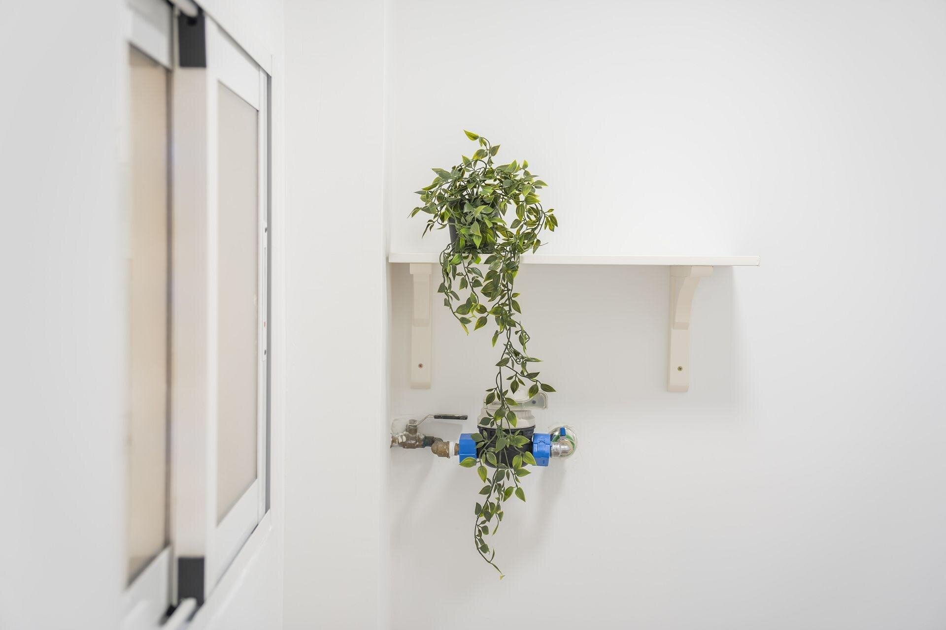 3-Bedroom Apartment in Lo Pagan - Image 30