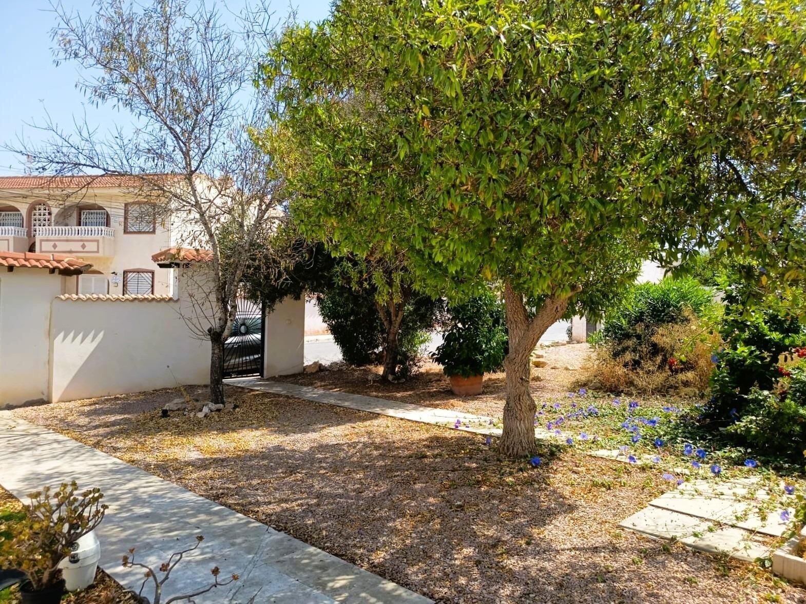 1-Bedroom Bungalow in La Siesta - El Salado - Torreta, Torrevieja - Image 27