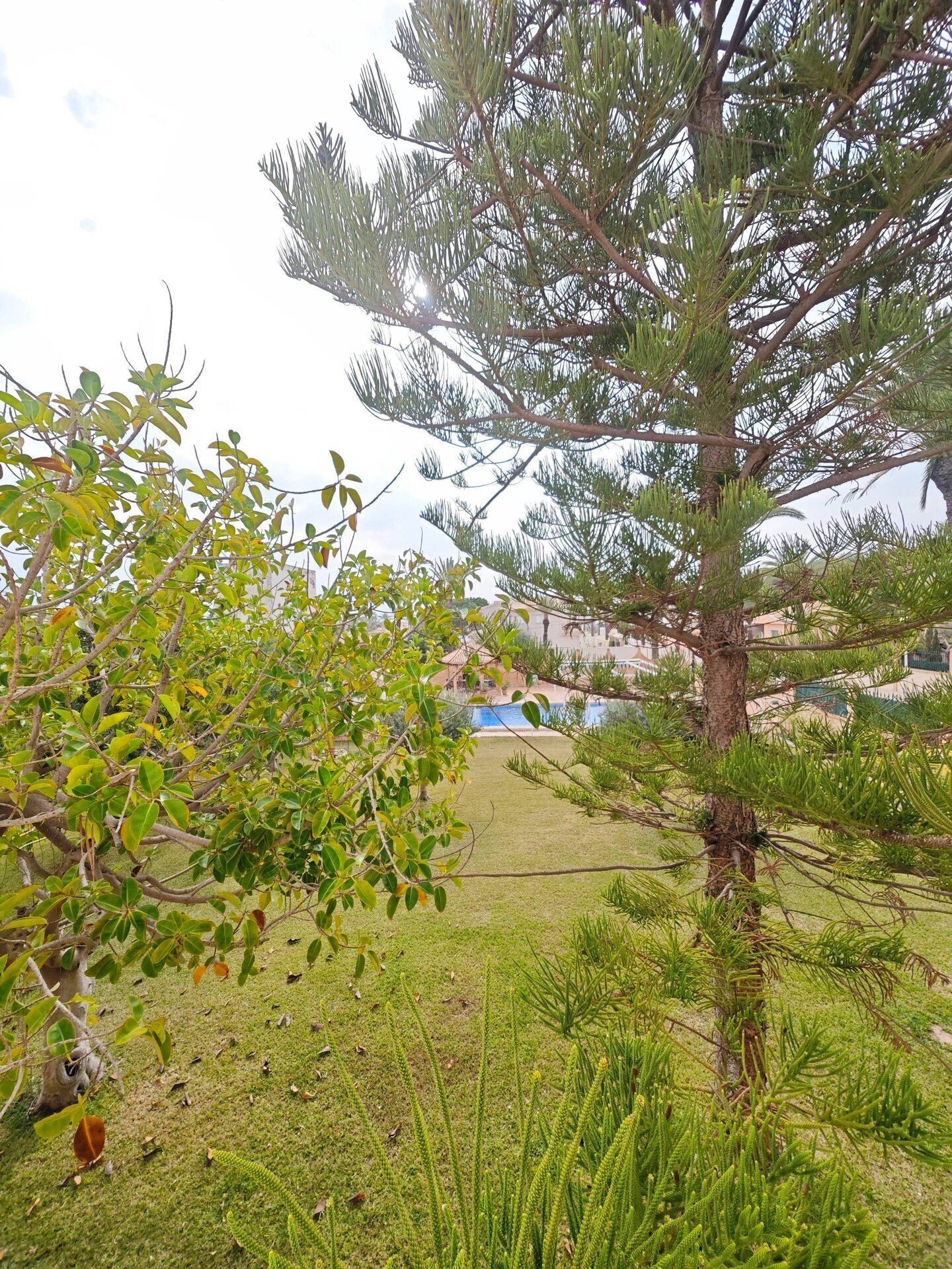 7-Bedroom Luxury Villa in Cabo Roig - Image 19