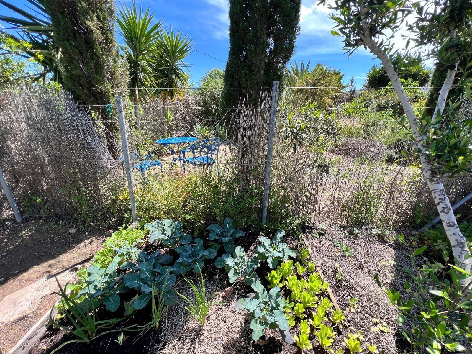 2-Bedroom Country House in Cartagena - Image 25