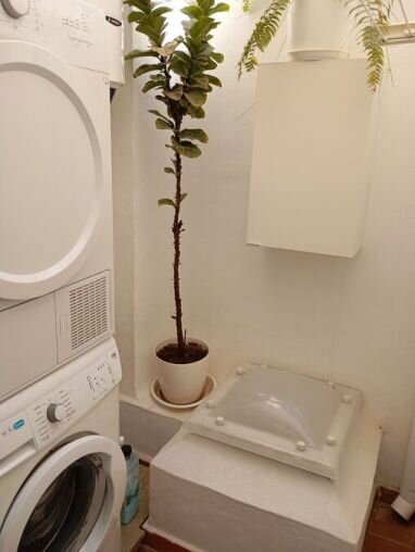 2-Bedroom House in Guardamar del Segura - Image 28