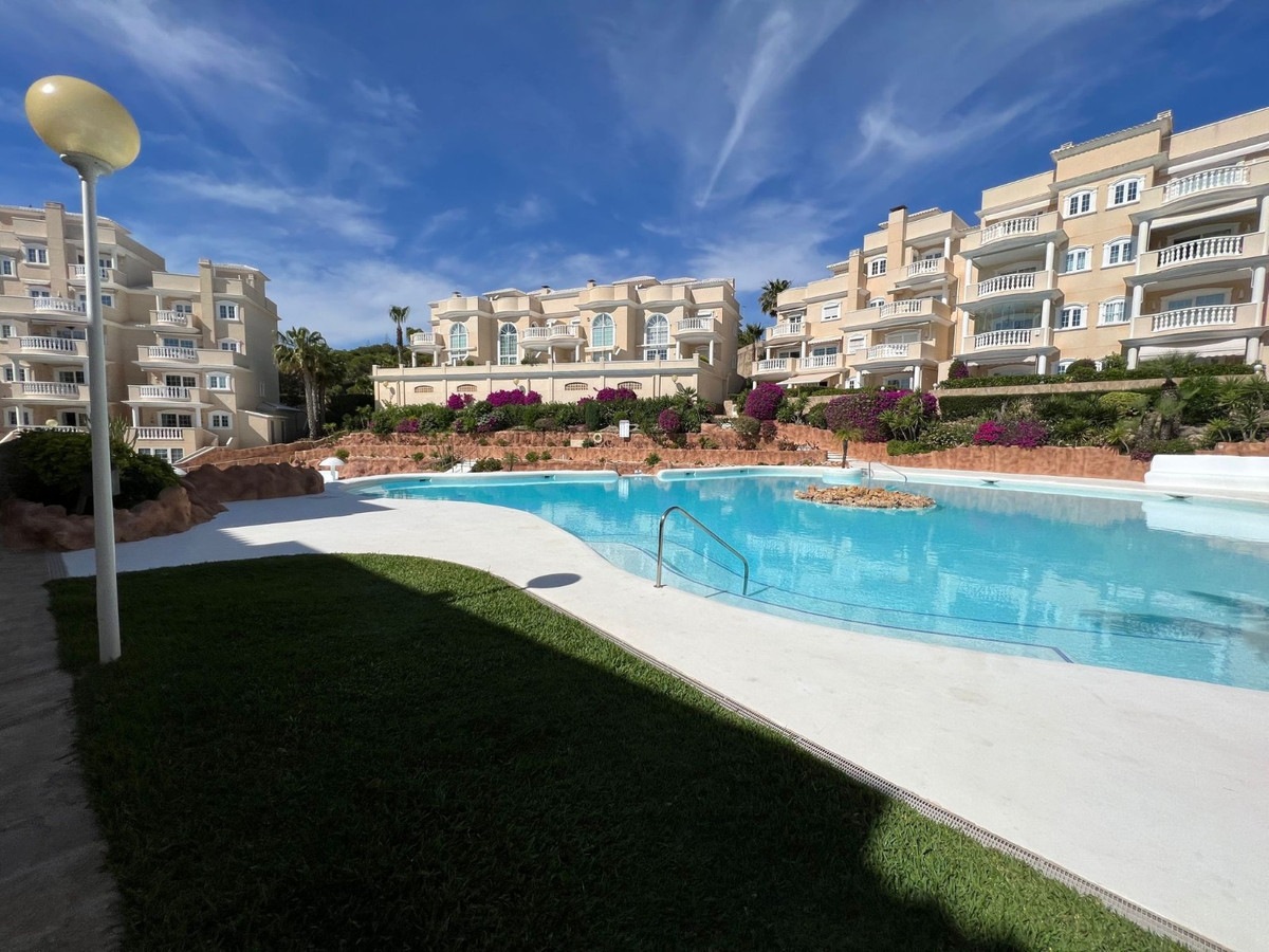 3-Bedroom Ground Floor Apartment in  Guardamar del Segura... - Image 2