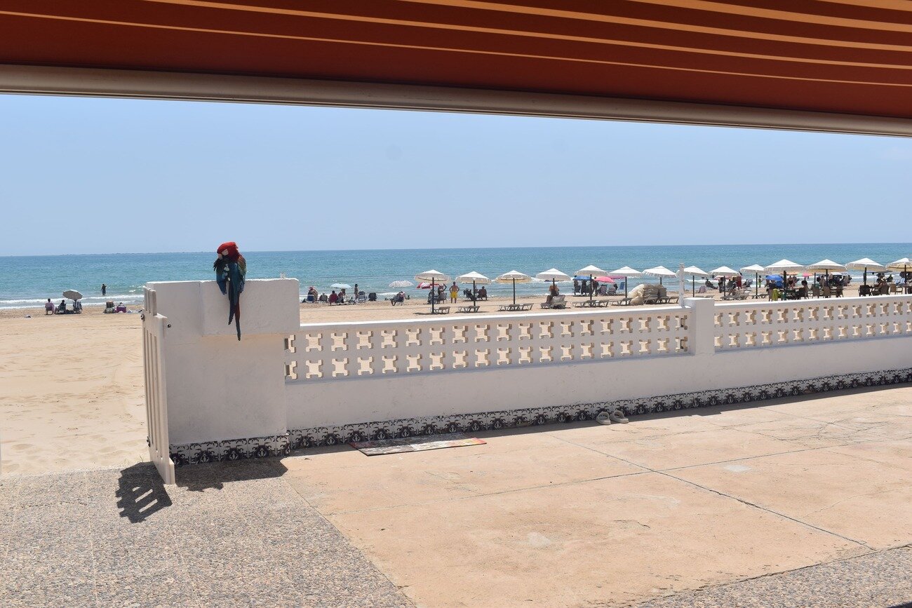 6-Bedroom Villa in El Edén - Los Estaños, Guardamar del Segura - Image 26