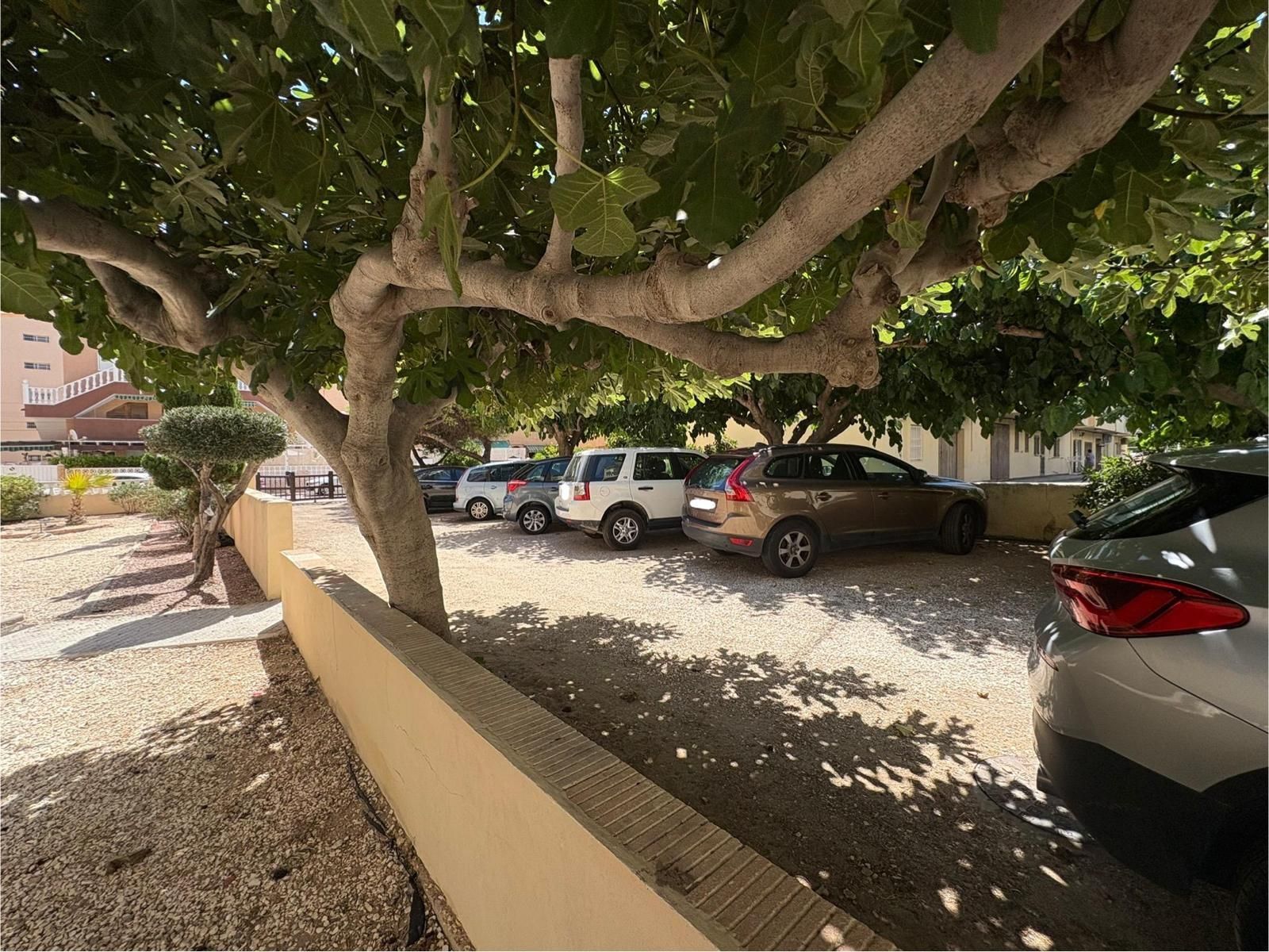 2-Bedroom Apartment in Los Europeos, Torrevieja - Image 14