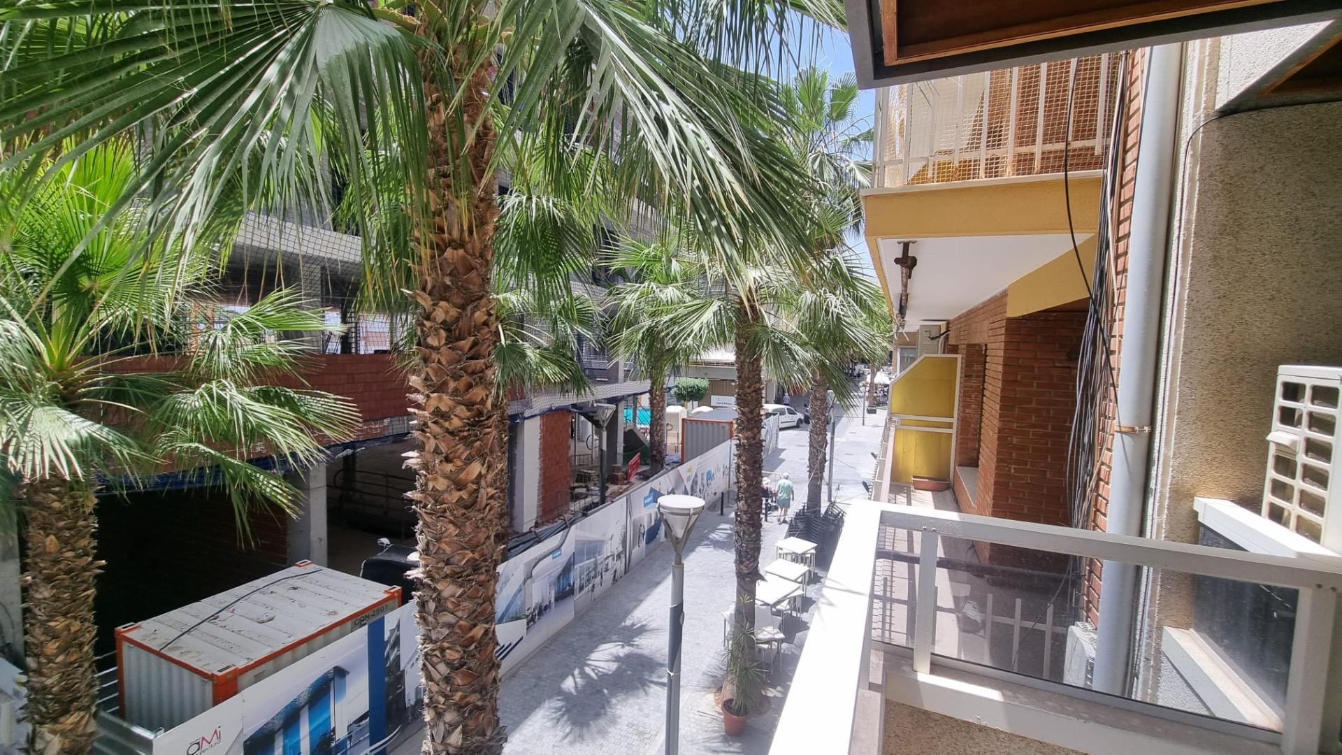 4-Bedroom Apartment in Torrevieja - Image 4