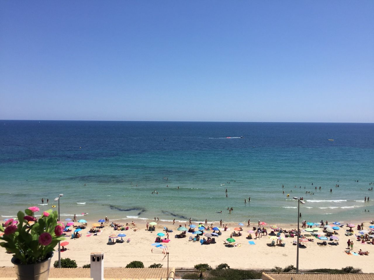 3-Bedroom Apartment in Pilar de la Horadada - Image 2