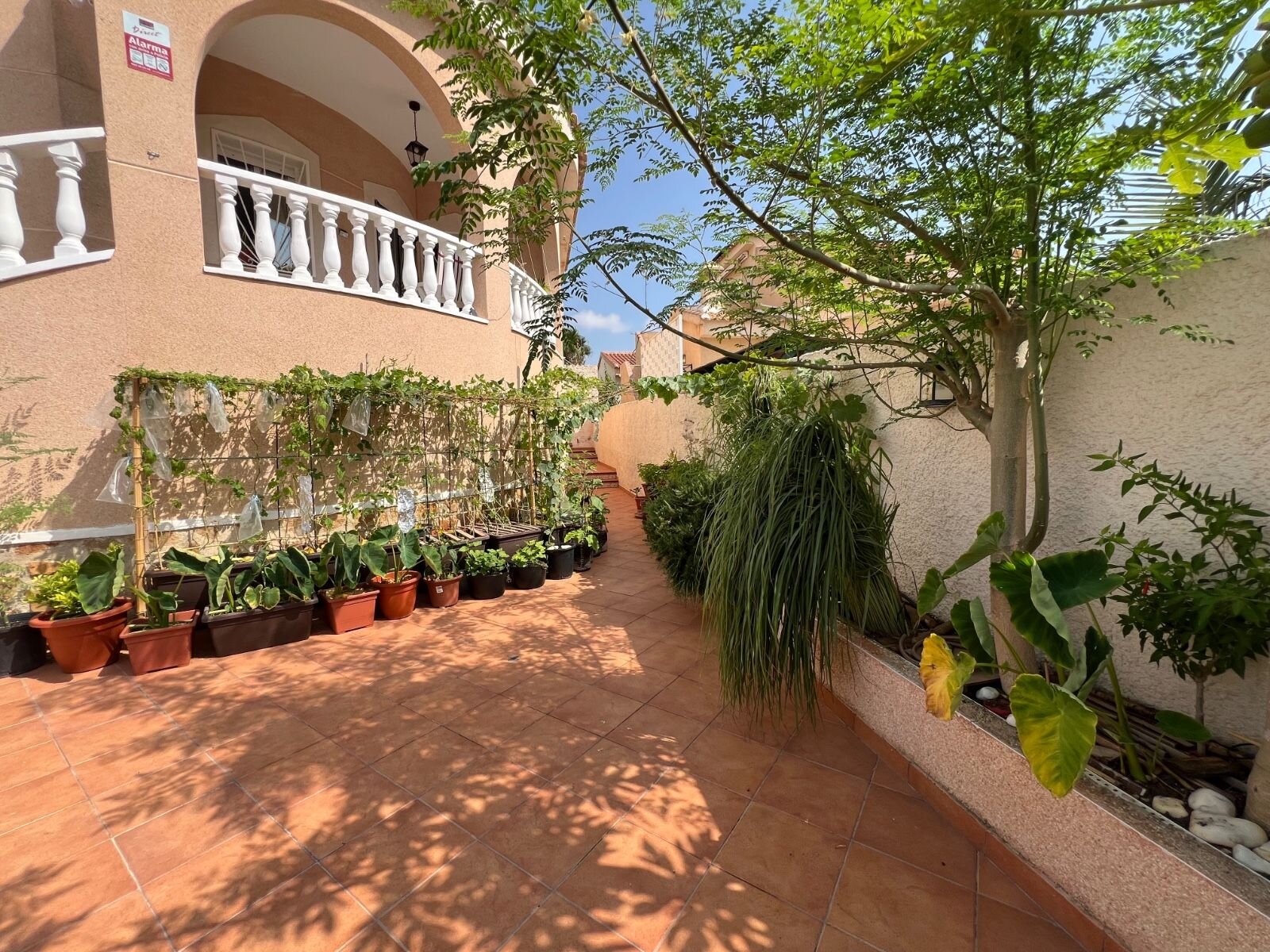 2-Bedroom Villa in Ciudad Quesada, Rojales - Image 3