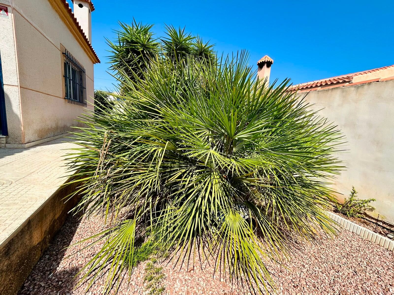 3-Bedroom Villa in La Siesta - El Salado - Torreta, Torrevieja - Image 24