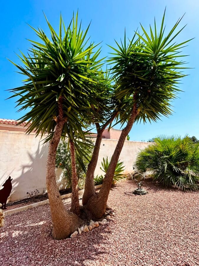 3-Bedroom Villa in La Siesta - El Salado - Torreta, Torrevieja - Image 25