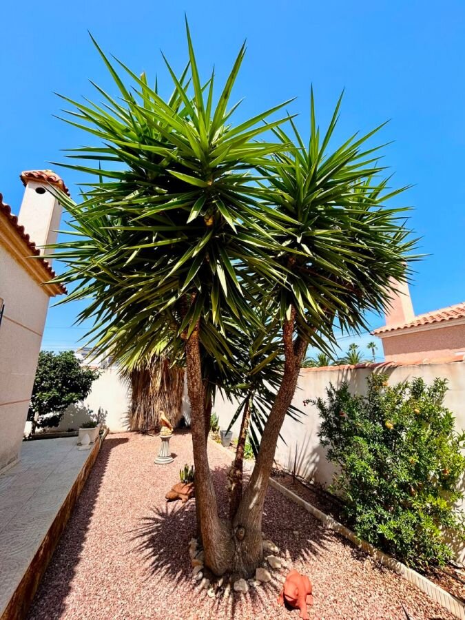 3-Bedroom Villa in La Siesta - El Salado - Torreta, Torrevieja - Image 26