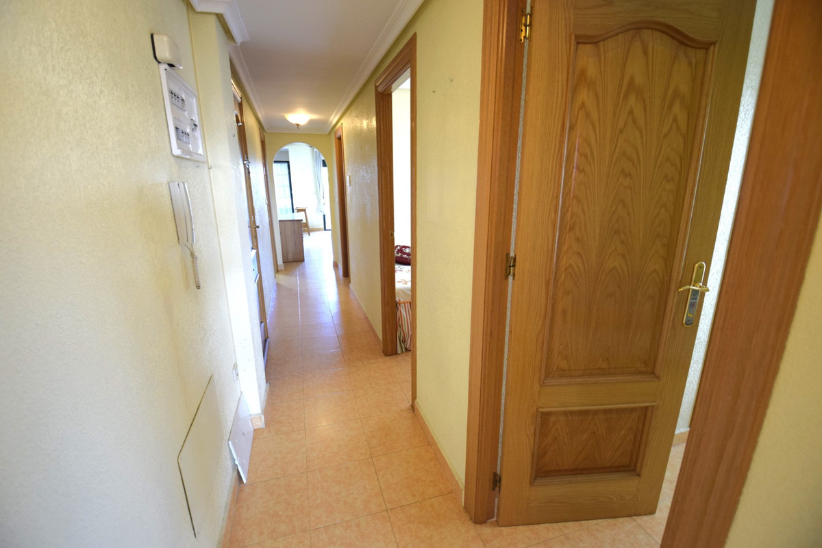 3-Bedroom Ground Floor Apartment in Guardamar del Segura... - Image 14
