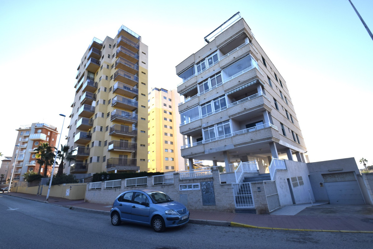 3-Bedroom Ground Floor Apartment in Guardamar del Segura... - Image 16